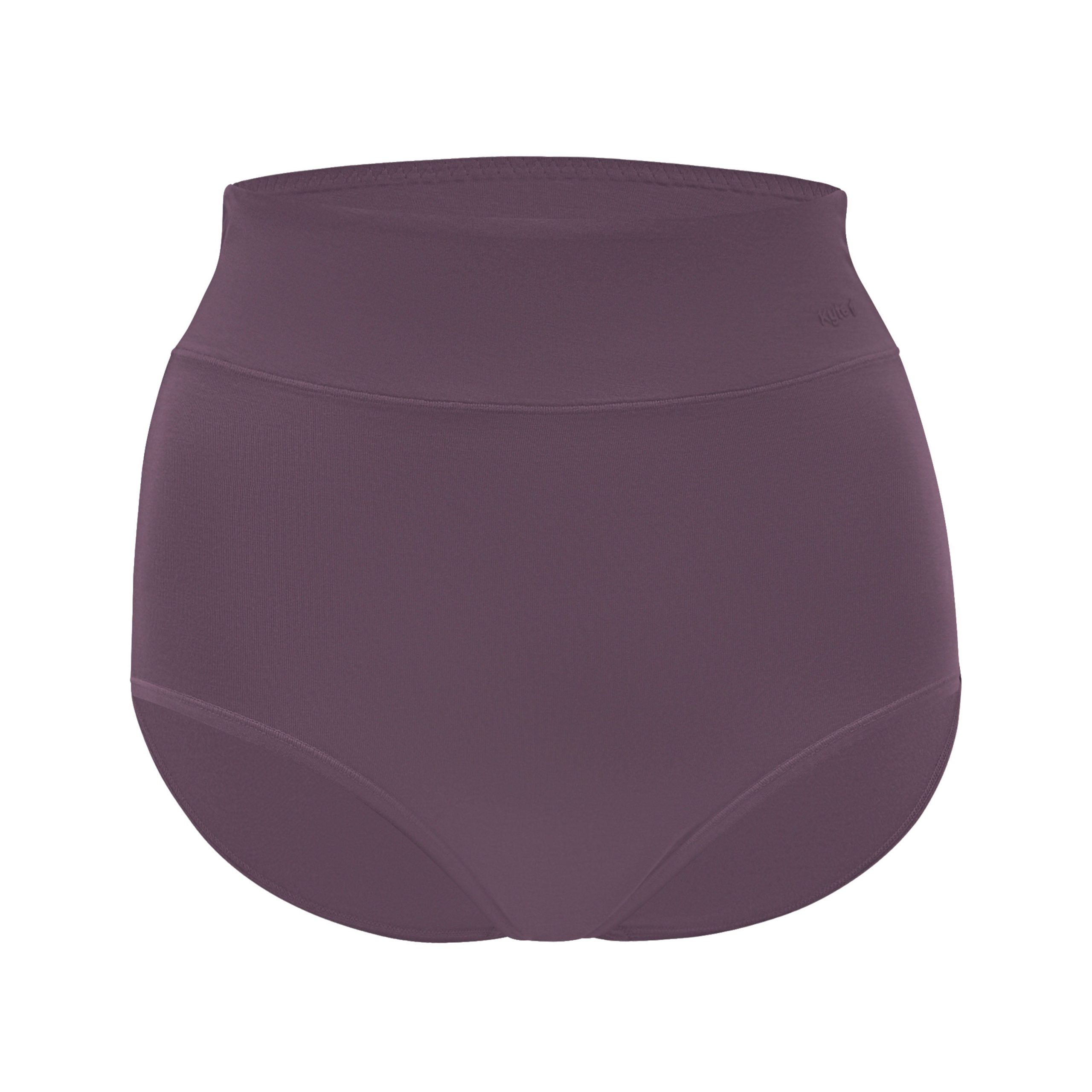 Women's High-Waisted Brief in Currant - Image 2