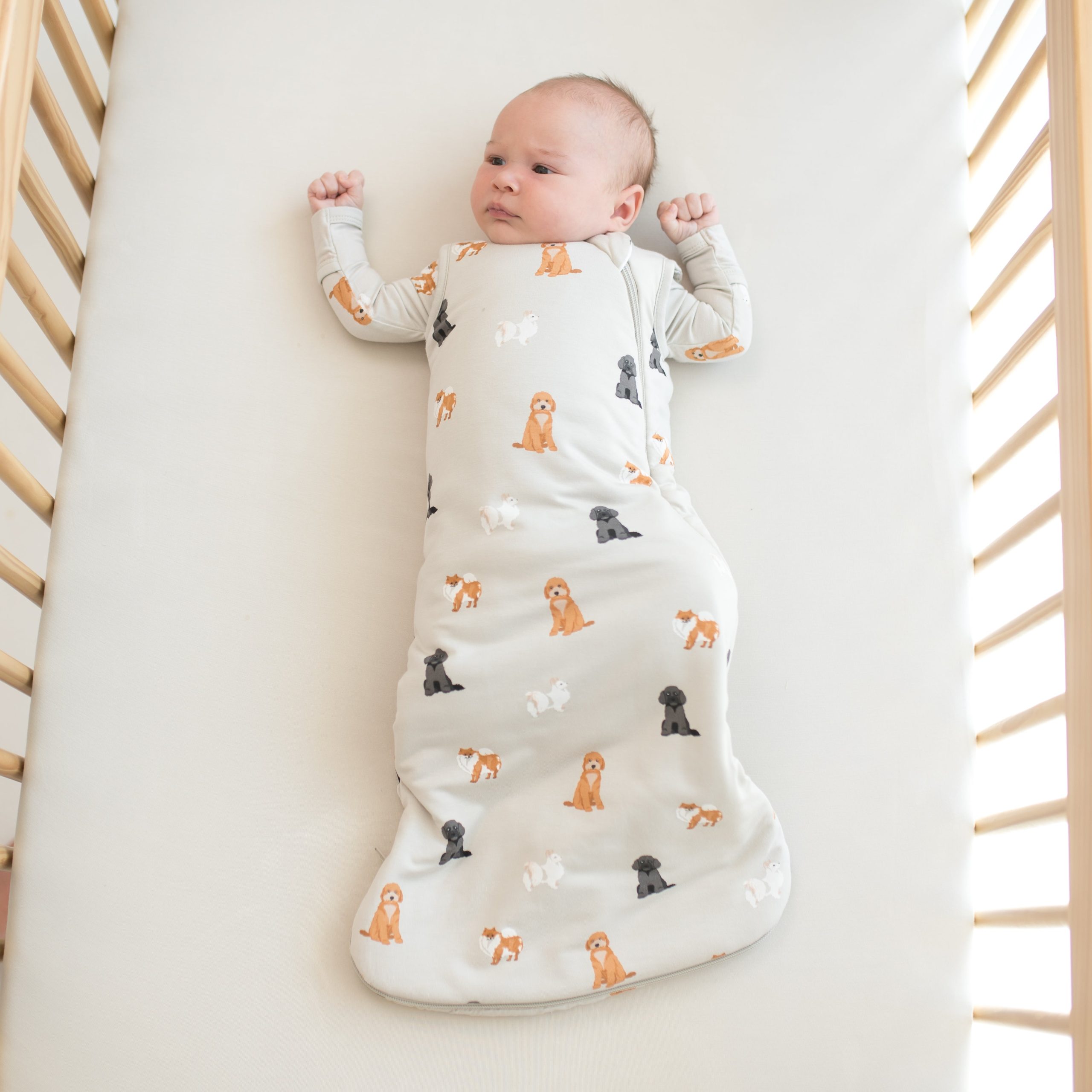 Sleep Bag in Fluffy Dog 1.0 - Image 4