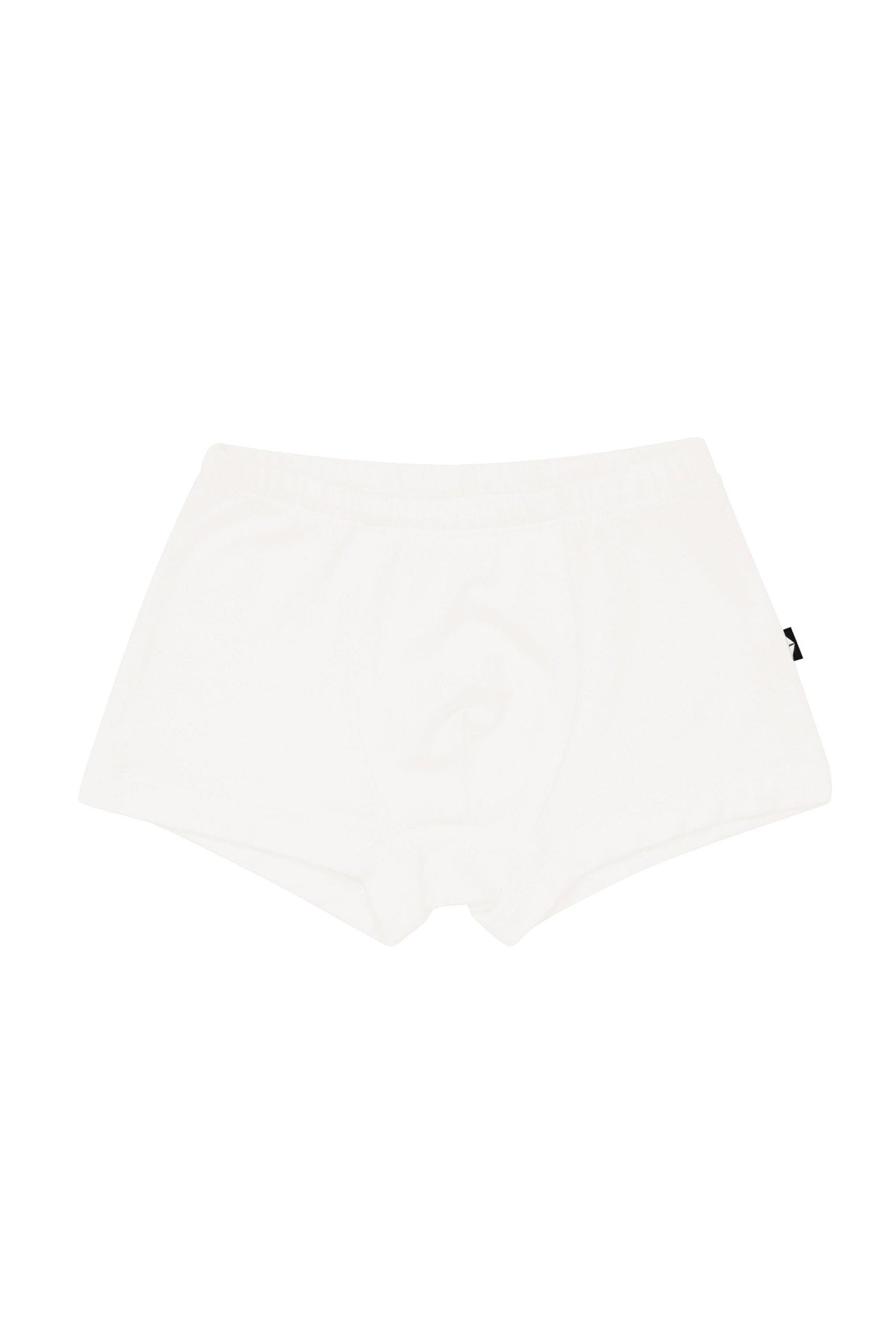 Briefs in Cloud