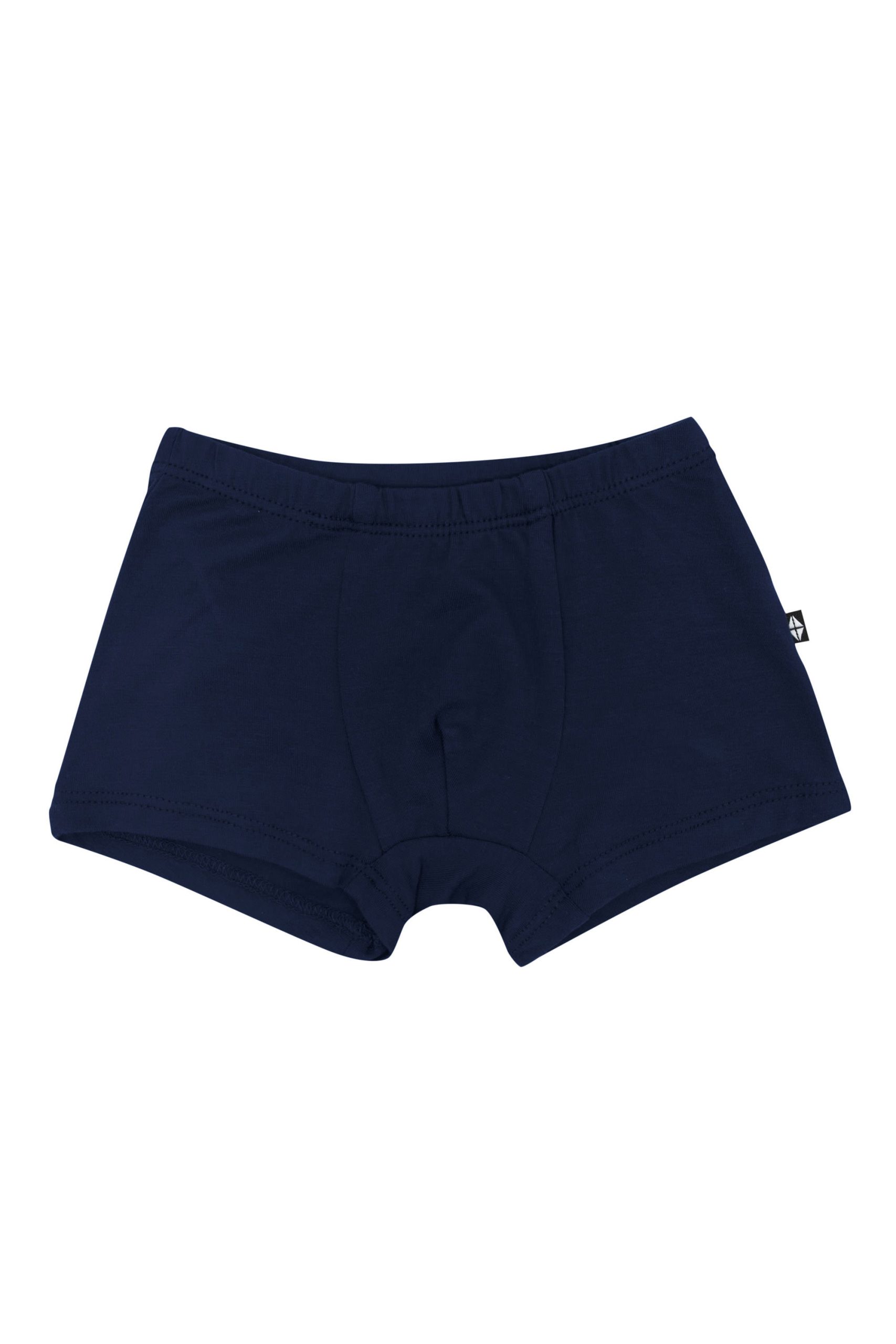 Briefs in Navy