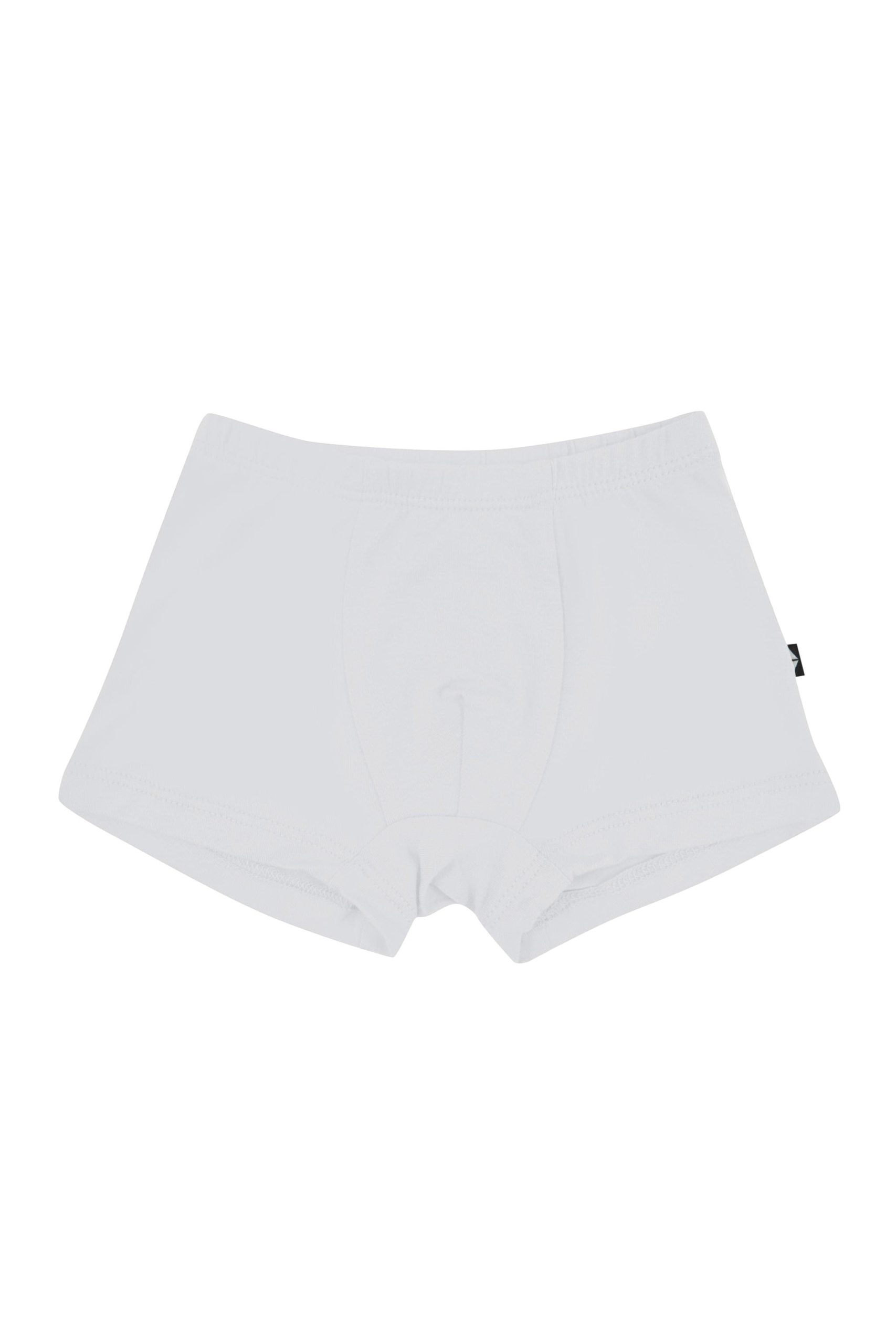 Briefs in Storm