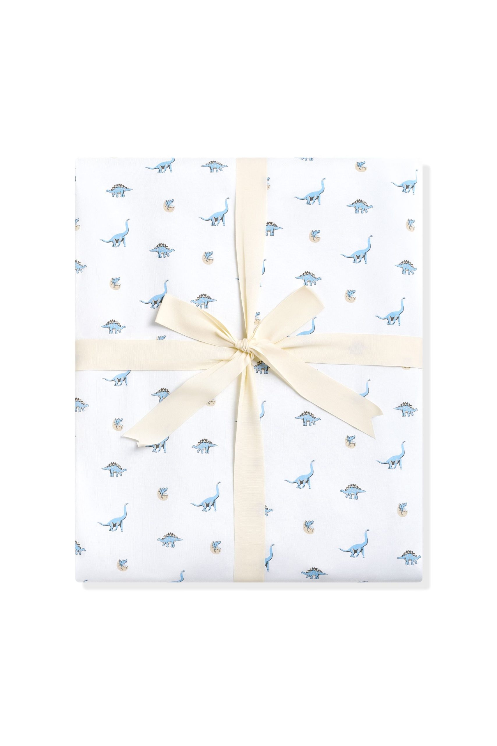 Youth Blanket in Jurassic 1.0