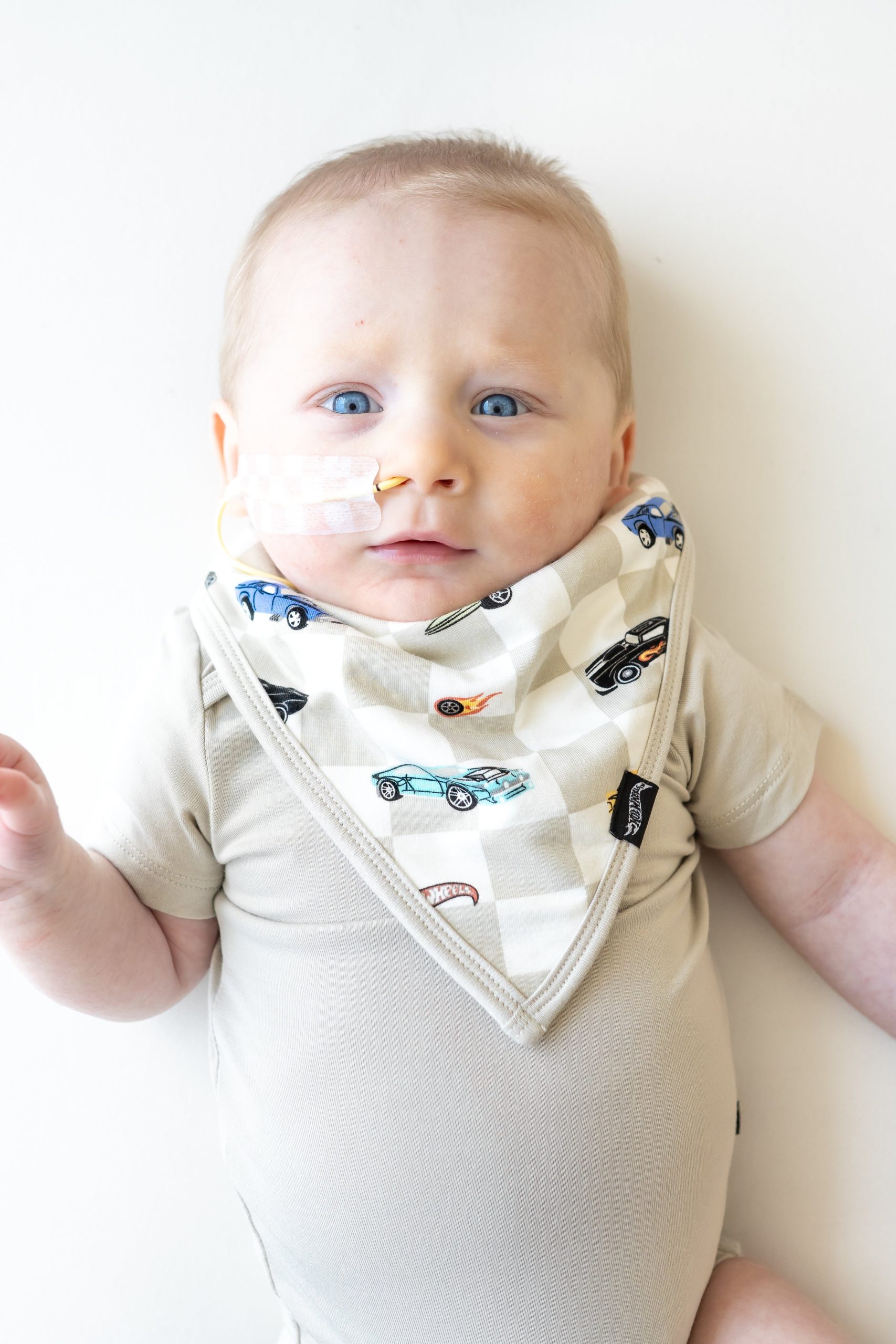 Bib in Fast and Fierce - Image 3