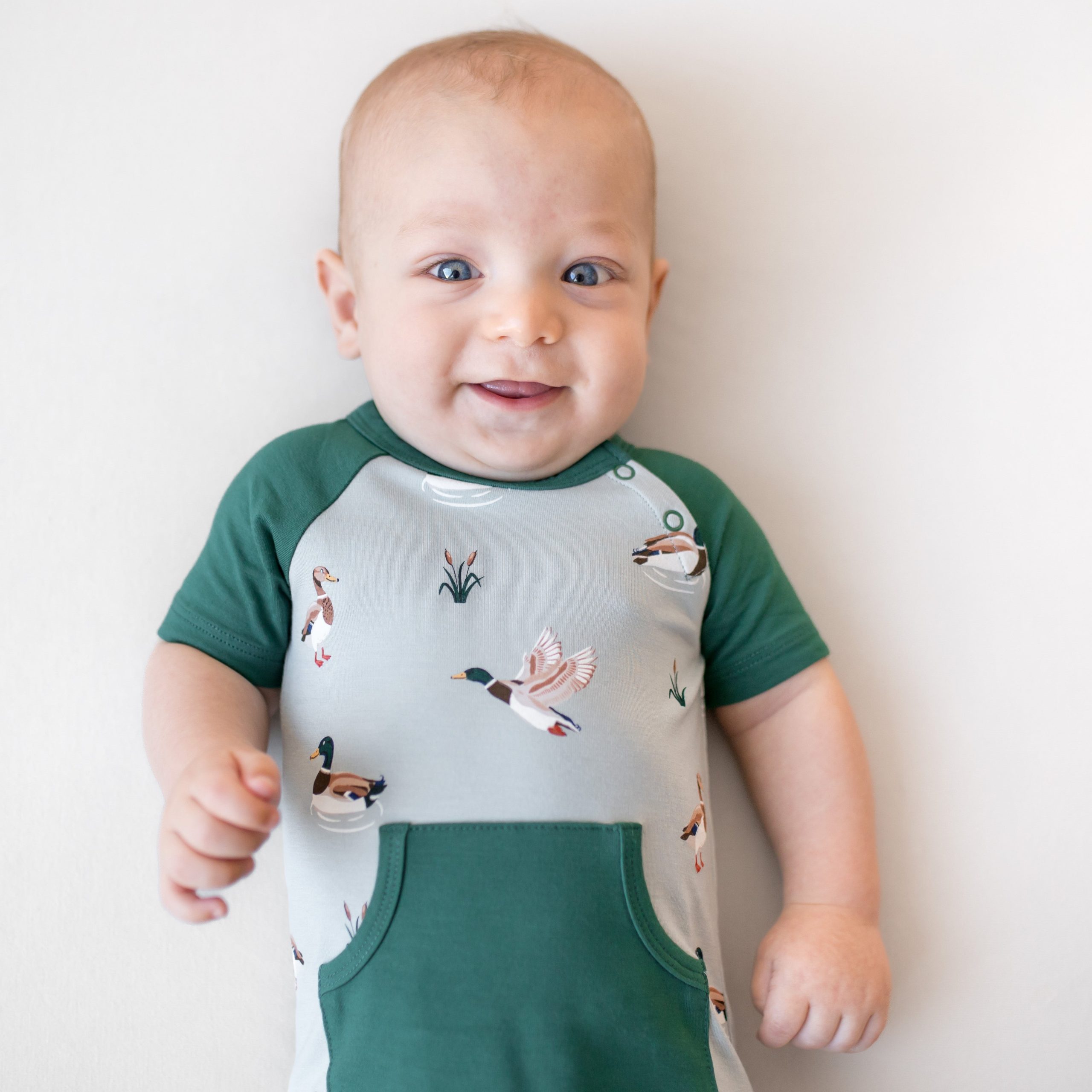 Shortall in Mallard Duck - Image 3